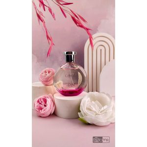 ایده آرایشی بهداشتی 22