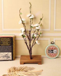 زاویه عکاسی از محصول برای اینستاگرام