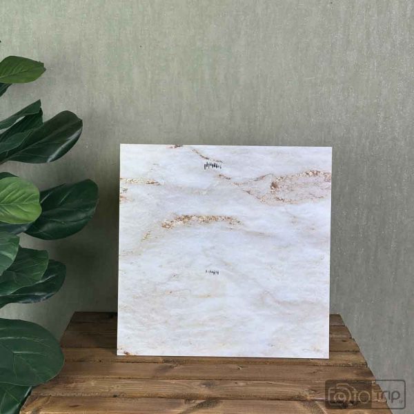 بکدارپ چوبی  دو رو سایز 40*40 کد384 - Image 1