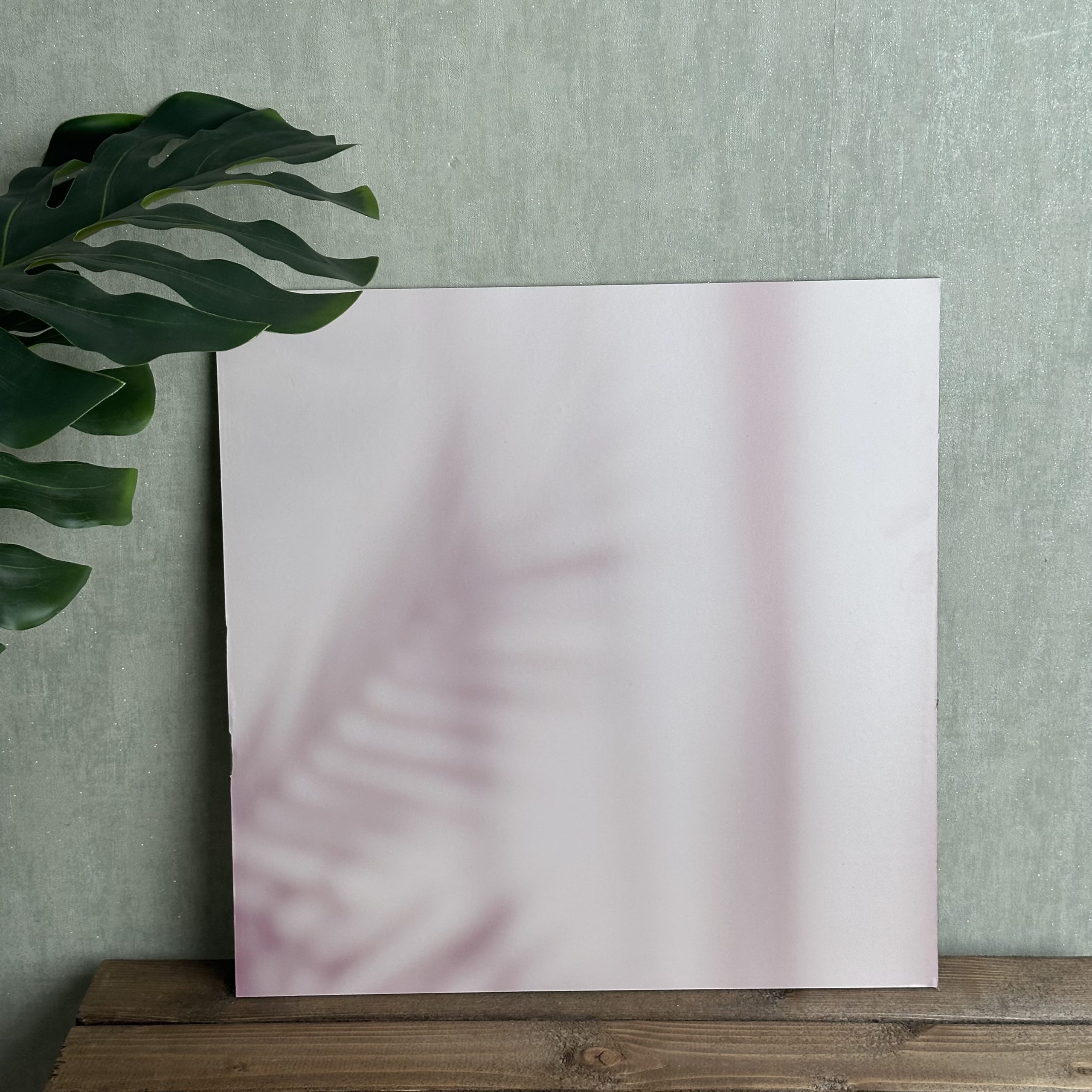 IMG_4728 یک عدد بکدارپ چوبی تک رو سایز 40*40 کد Aes11 - Image 1