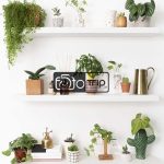 بکدراپ چوبی تک رو کد d03