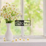 بکدراپ چوبی تک رو کد d081